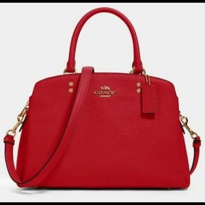💯 Authentic Coach Lillie Carryall